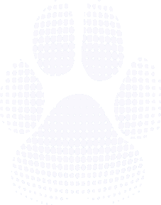 PawFriction